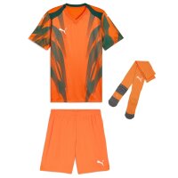 Puma teamFinal 26 Graphic+ Trikotsatz