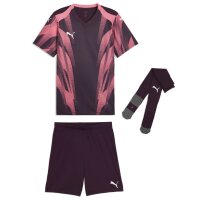 Puma teamFinal 26 Graphic+ Trikotsatz
