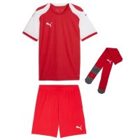 Puma teamFinal 26 Knit Trikotsatz