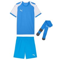 Puma teamFinal 26 Knit Trikotsatz