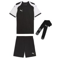 Puma teamFinal 26 Knit Trikotsatz