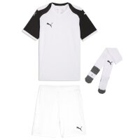 Puma teamFinal 26 Knit Trikotsatz