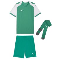 Puma teamFinal 26 Knit Trikotsatz