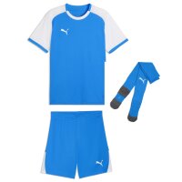 Puma teamLiga 26 Matchday Trikotsatz