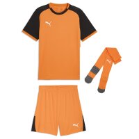 Puma teamLiga 26 Matchday Trikotsatz
