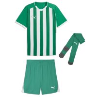 Puma teamLiga 26 Striped Kinder Trikotsatz