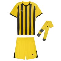 Puma teamLiga 26 Striped Kinder Trikotsatz