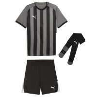Puma teamLiga 26 Striped Kinder Trikotsatz