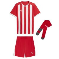 Puma teamLiga 26 Striped Trikotsatz