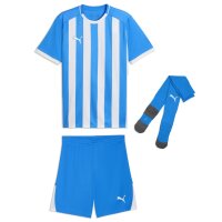Puma teamLiga 26 Striped Trikotsatz