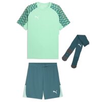 Puma teamLiga 26 Kinder Trikotsatz