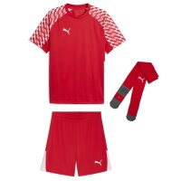 Puma teamLiga 26 Trikotsatz