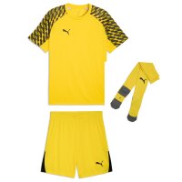 Puma teamLiga 26 Trikotsatz