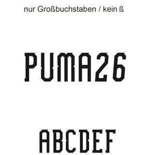 Puma26