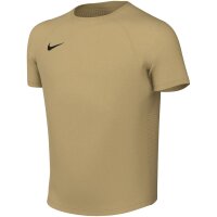 Nike Park VIII Trikot Jersey