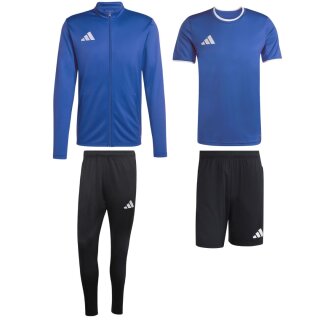 team royal blue/white