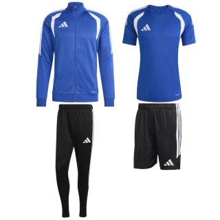 team royal blue/white