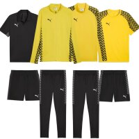 Puma teamLiga 26 Team Set