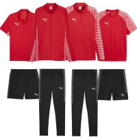 Puma teamLiga 26 Team Set