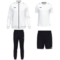 Jako One Training Set