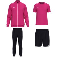 Jako One Training Set