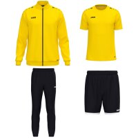 Jako One Training Set