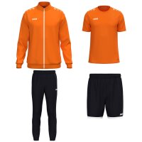 Jako One Training Set