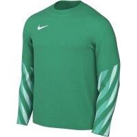 Nike Park V GK Torwarttrikot